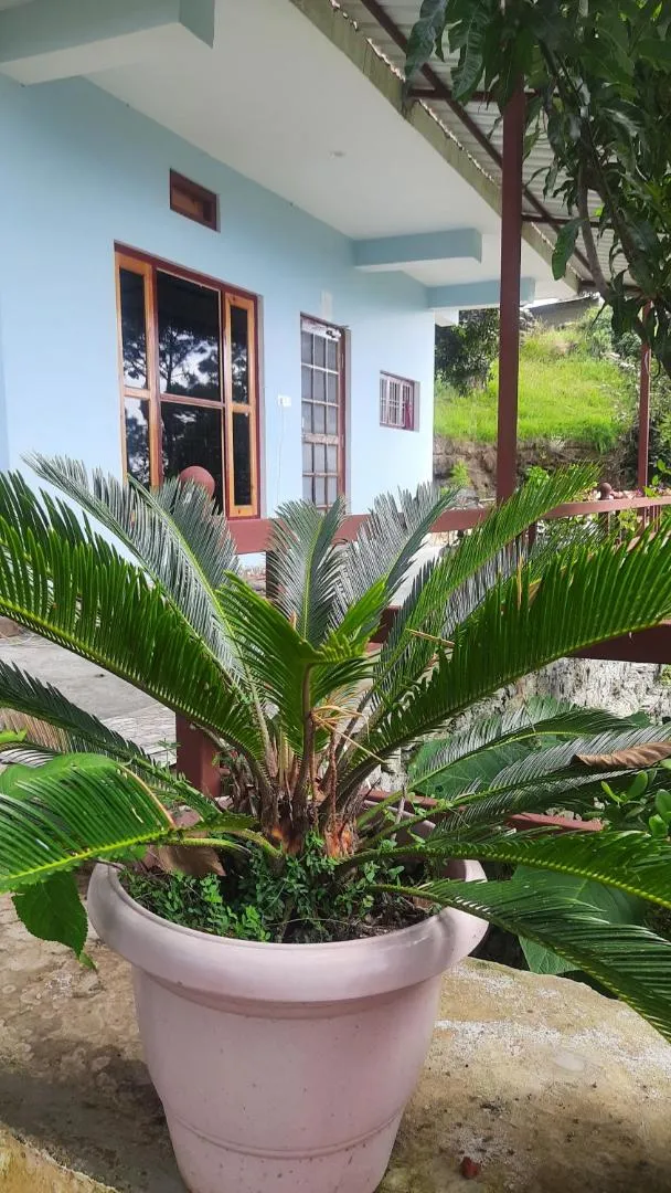 Nanda View Cottage